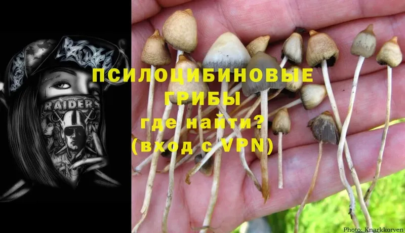 Галлюциногенные грибы GOLDEN TEACHER  Алдан 